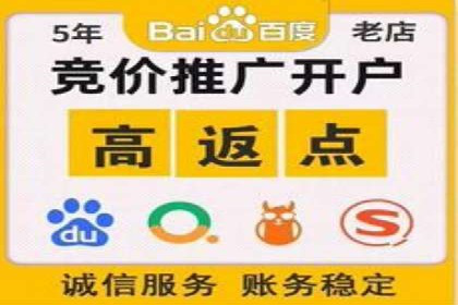 SEM服务助力电商行业案例解读